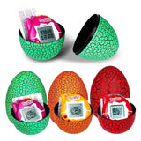 Pet Toy Funny Tamagotchi with Egg